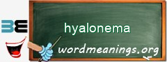 WordMeaning blackboard for hyalonema